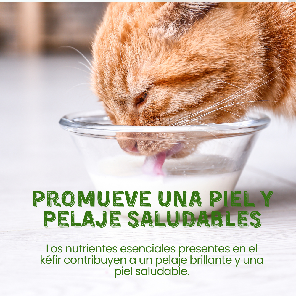 Suplemento Kéfir de Leche de Cabra Kanu Pet para Perro y Gato Espinaca 100% Natural