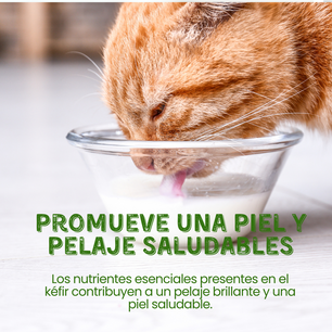 Suplemento Kéfir de Leche de Cabra Kanu Pet para Perro y Gato Espinaca 100% Natural
