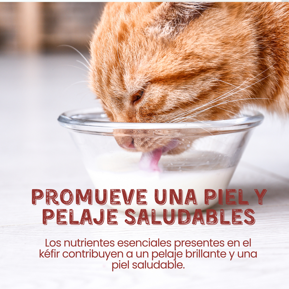 Suplemento Kéfir de Leche de Cabra Kanu Pet para Perro y Gato Arándanos 100% Natural