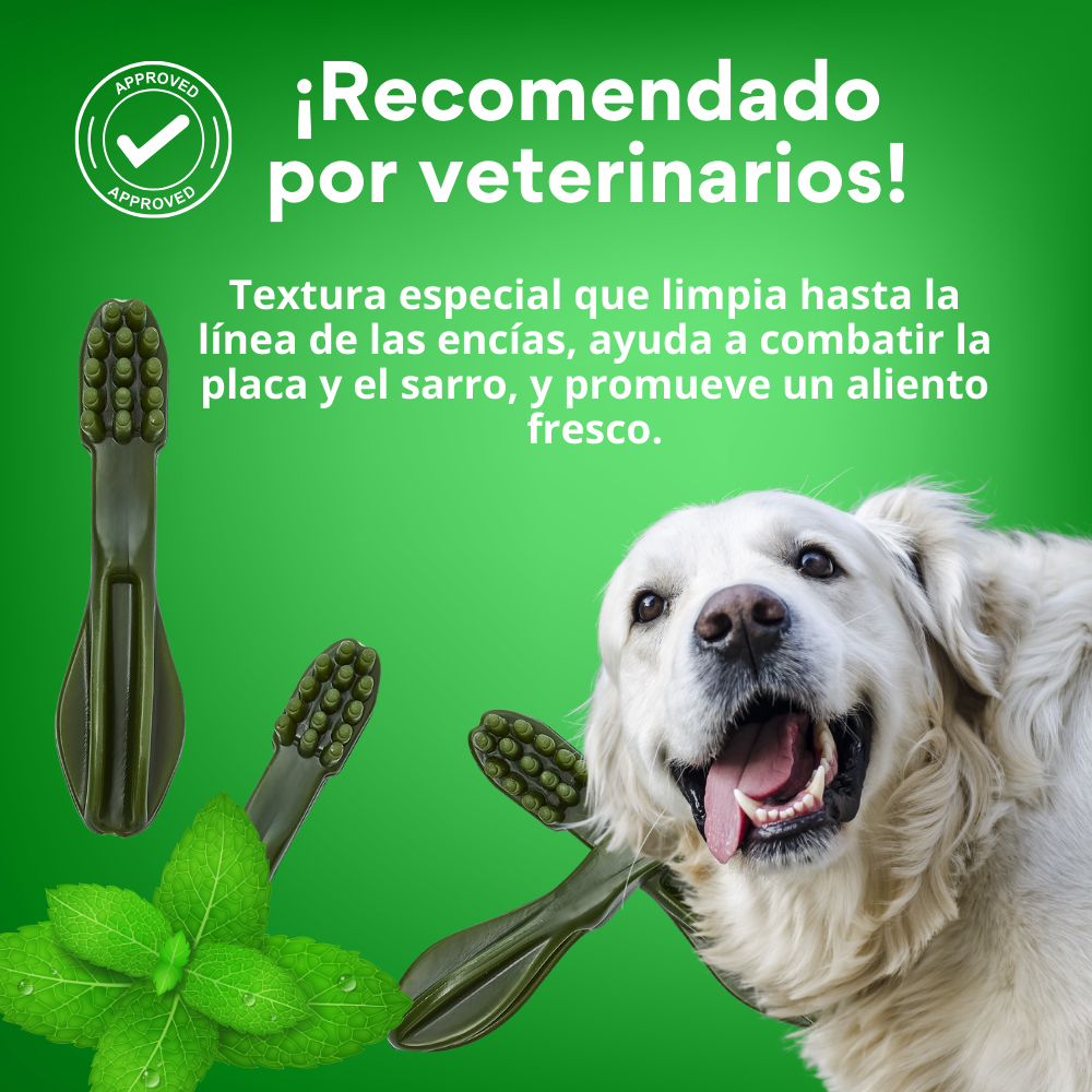 Snack Cepillo Dental  Small Kanu Pet Dental Fresh Para Perros Sabor a Menta