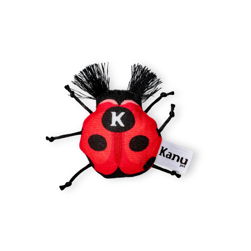 Juguete de  Peluche Mariquita para gato Kanu Pet