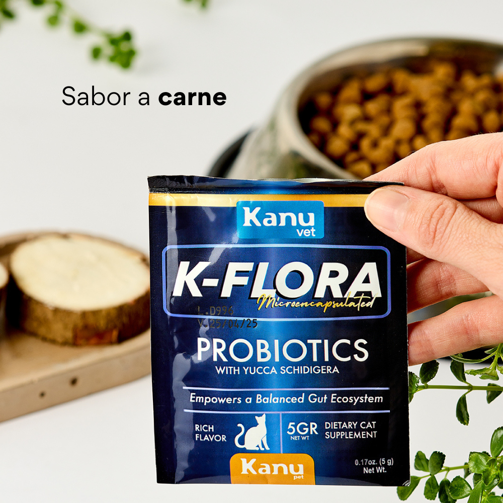 Suplemento Probiótico para gatos K-Flora