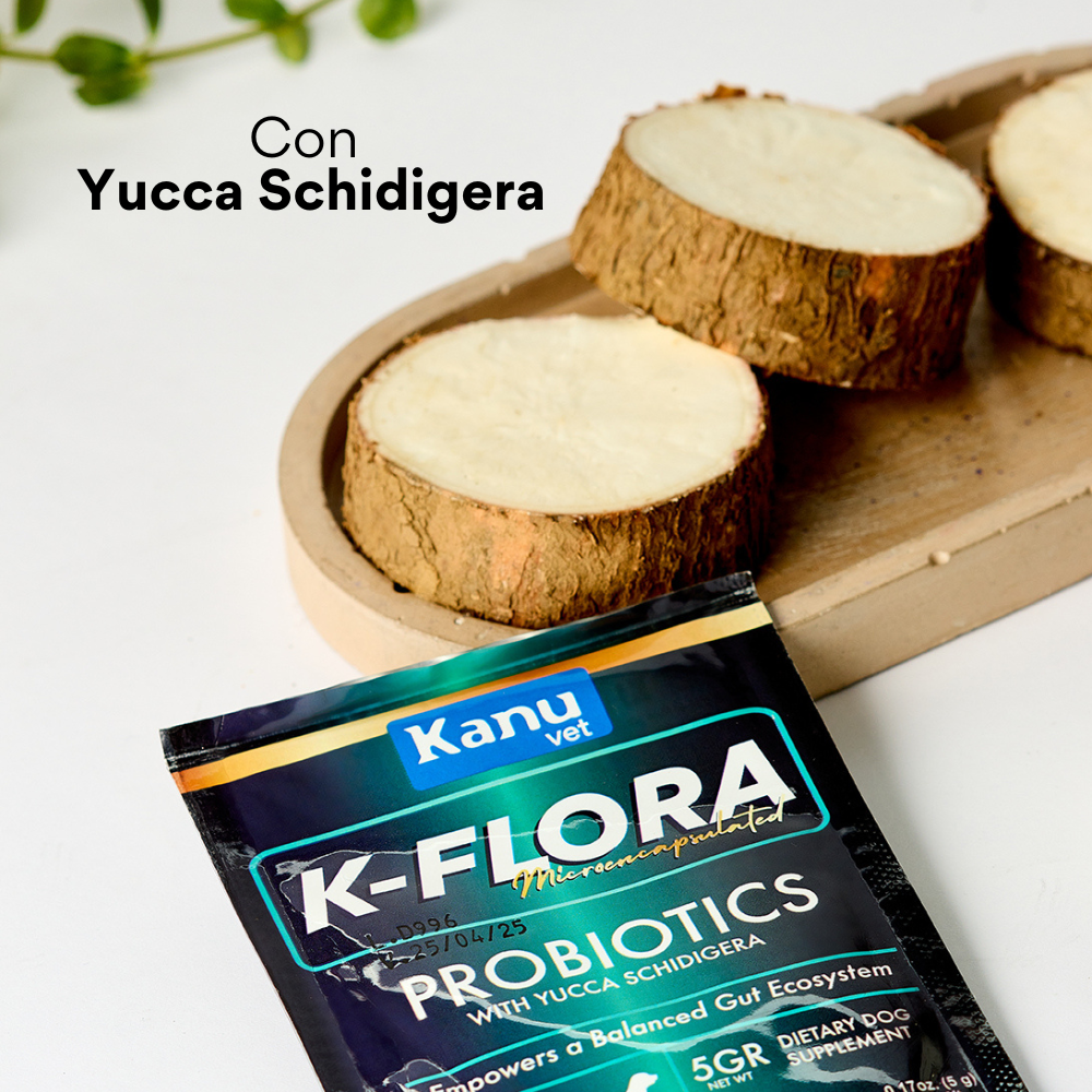 Suplemento Probiótico para gatos K-Flora
