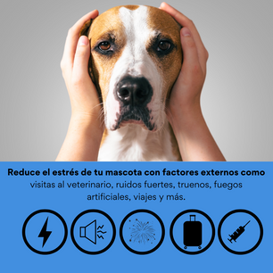Collar Relajante con Fermonas Kanu Pet Calming Collar para Perros