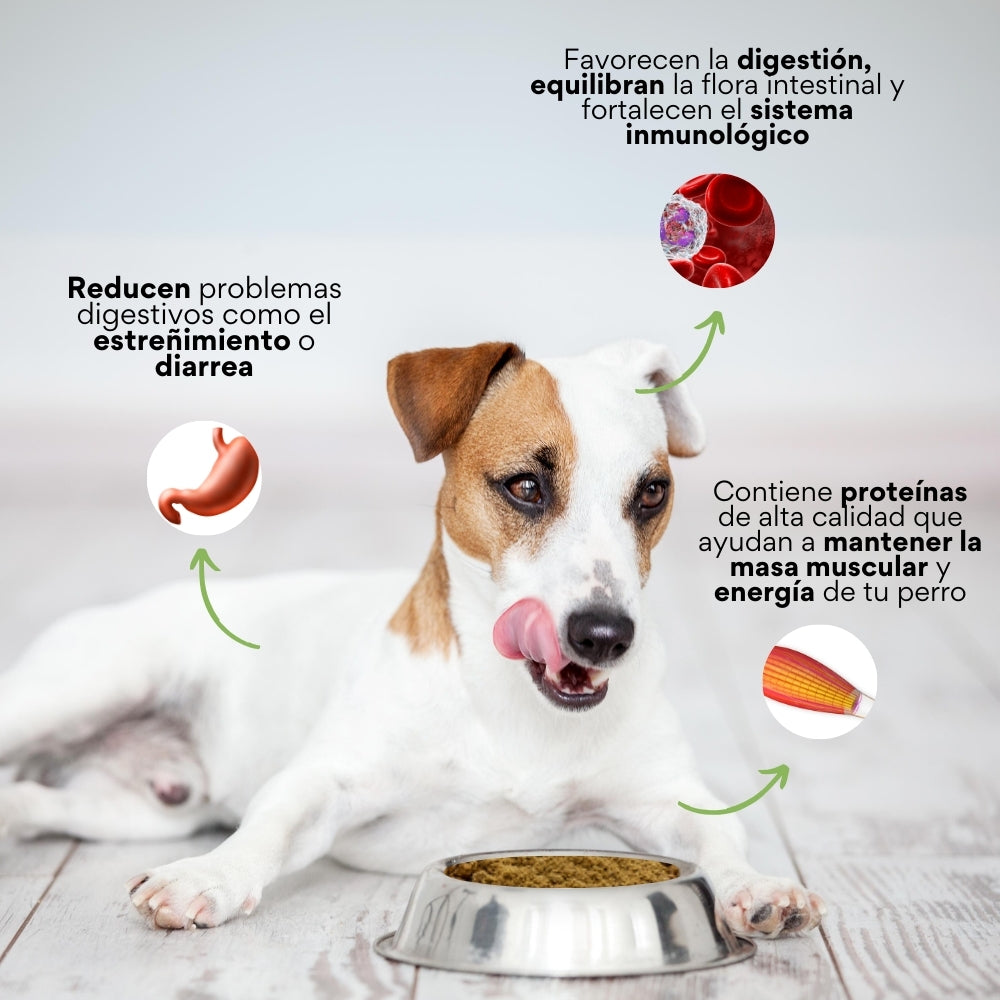 Suplemento K-Booster de Res Liofilizado Kanu Pet para perros