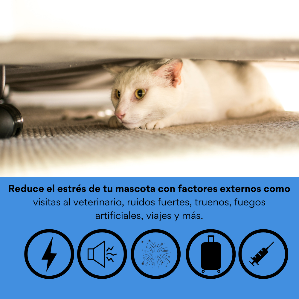 Collar Relajante con Fermonas Kanu Pet Calming Collar para Gato