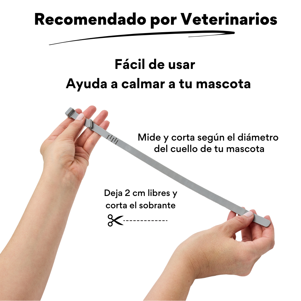Collar Relajante con Fermonas Kanu Pet Calming Collar para Gato