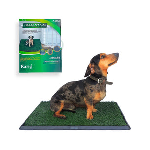 Grama Artificial de Entrenamiento Pet Park Kanu Pet para perro