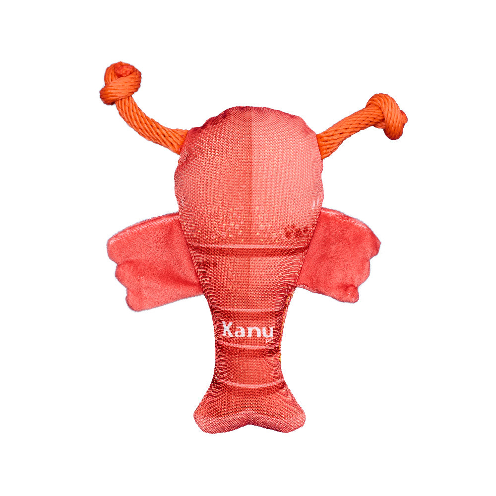 Juguete  Peluche Langosta Mar Kanu Pet para Perro