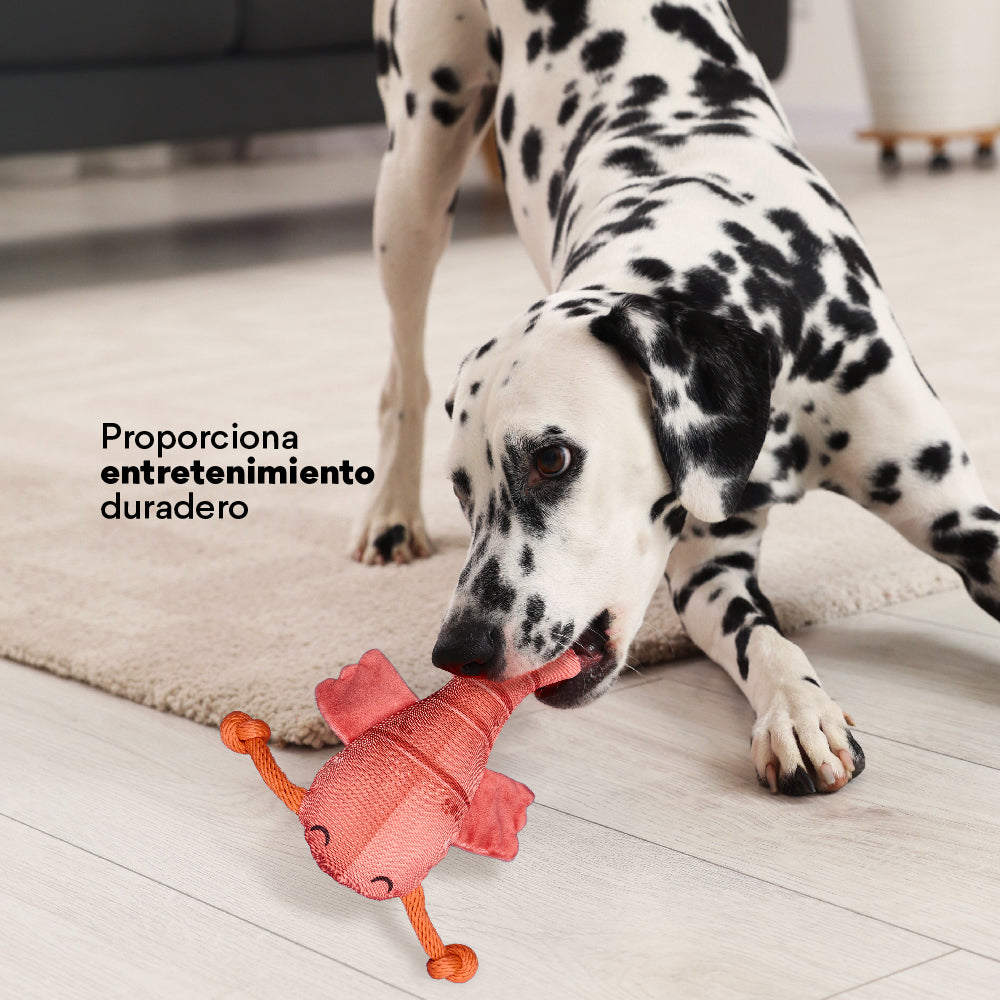 Juguete  Peluche Langosta Mar Kanu Pet para Perro