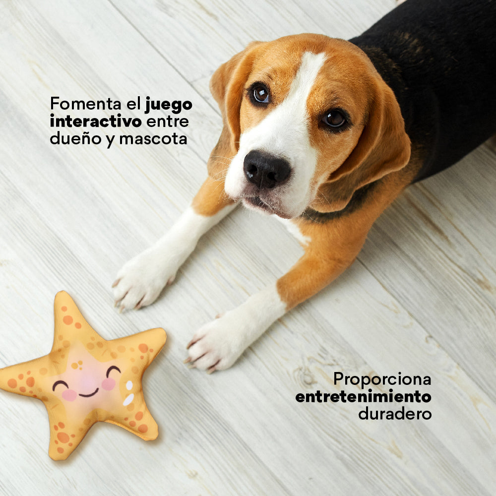 Juguete  Peluche Estrella de Mar  Kanu Pet para Perro