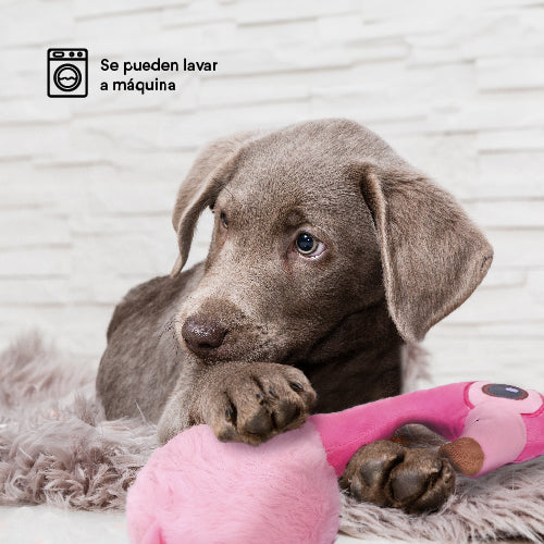 Juguete  Peluche Flamingo Summer Kanu Pet para Perro