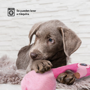 Juguete  Peluche Flamingo Summer Kanu Pet para Perro