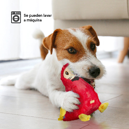 Juguete  Peluche Guacamaya Safari Kanu Pet para Perro