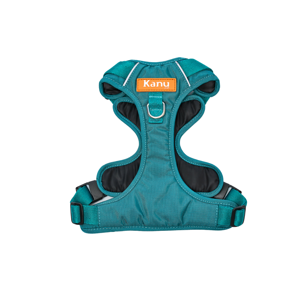 Pechera Walker Verde Jade Kanu Pet para Perro