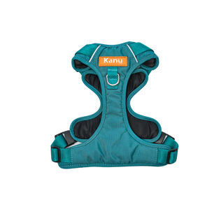 Pechera Walker Verde Jade Kanu Pet para Perro