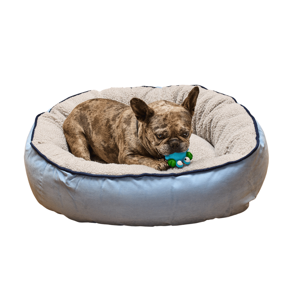 Cama Redonda Azul Celeste Kanu Pet  para Perro L